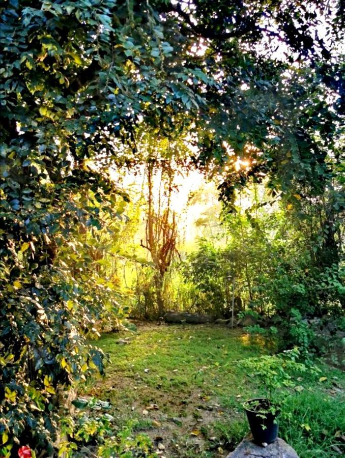 The Cattleya Guest House Sigiriya Exterior foto