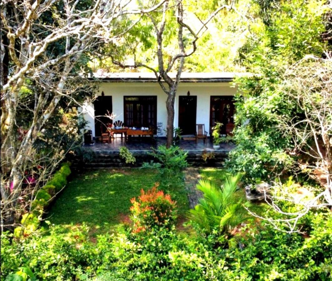 The Cattleya Guest House Sigiriya Exterior foto